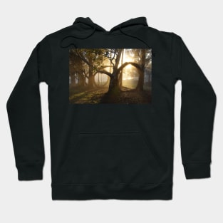 Golden Circles - Magpie Springs - Adelaide Hills - Fleurieu Peninsula - South Australia Hoodie